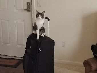 Chip's sweet expression