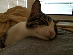 Chip in comfort mode