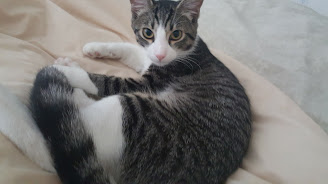 Chip's charming pose