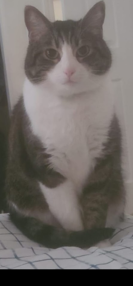 Chip showing his majestic side